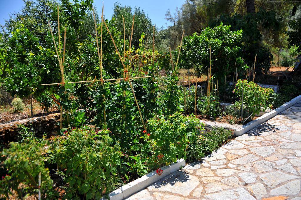 Yénion Vliho Bay Suites & Apartments מראה חיצוני תמונה