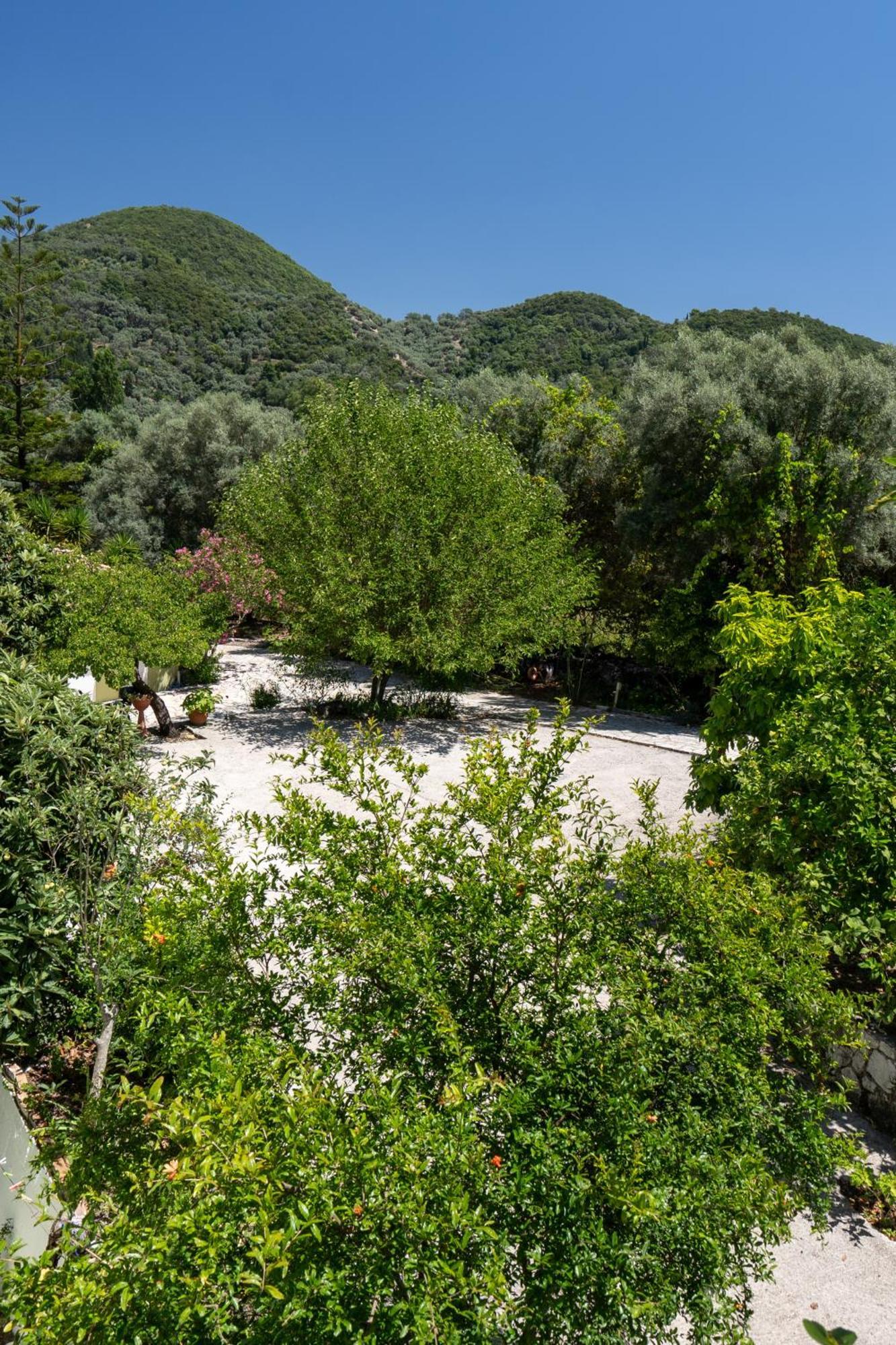 Yénion Vliho Bay Suites & Apartments מראה חיצוני תמונה