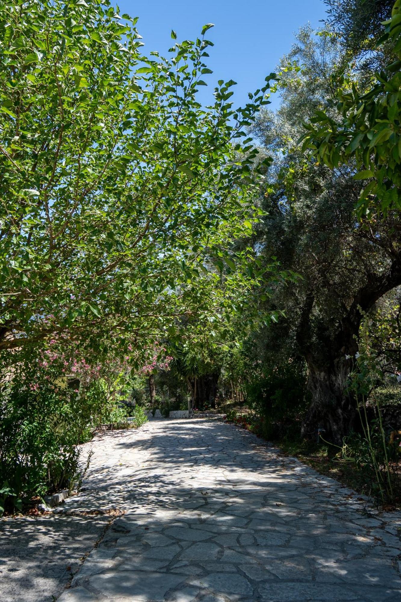 Yénion Vliho Bay Suites & Apartments מראה חיצוני תמונה